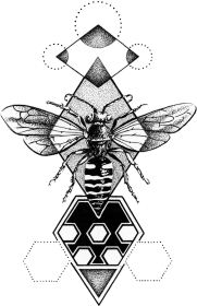 Osa