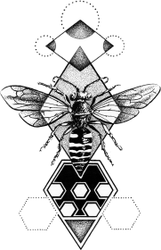 Osa