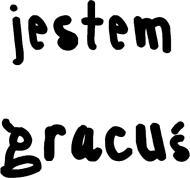 koszulka