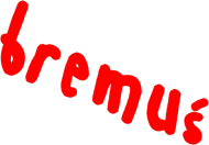bluza z bremuś