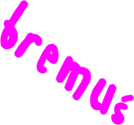koszulka z bremuś
