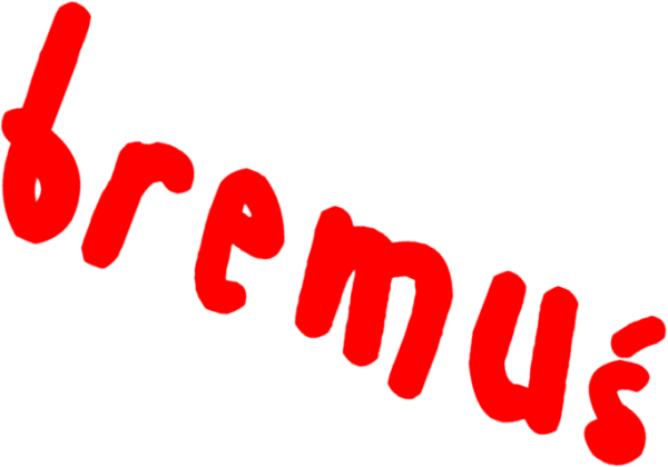 bluza z bremuś