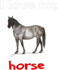I love my horse #2