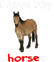 I love my horse #3