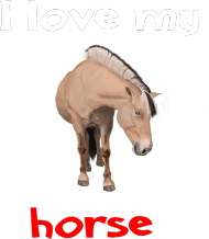 I love my horse #5