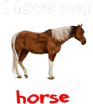 I love my horse #7