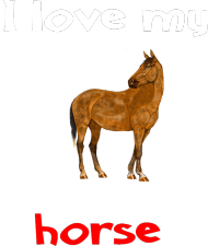 I love my horse #8