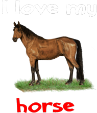 I love my horse #10