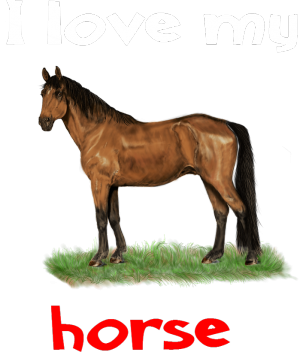 I love my horse #10 - nadruk