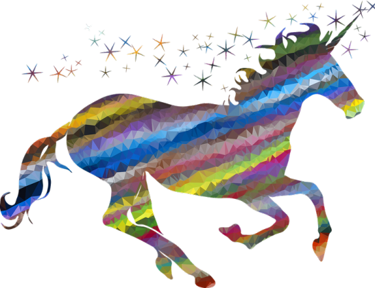 Bluza rainbow (różne kolory)