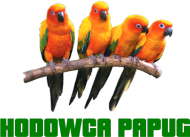 Kubek Hodowca Papug