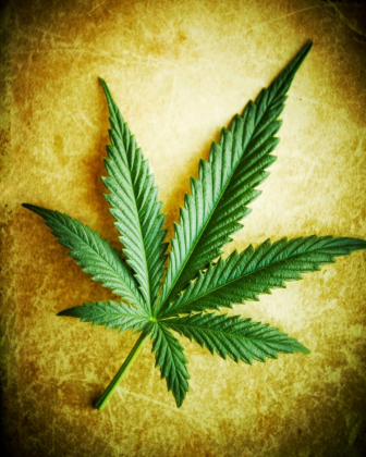 Ganja