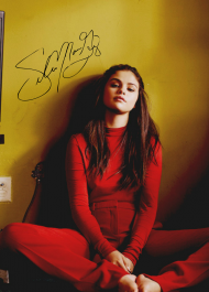 Plakat Selena Gomez A2