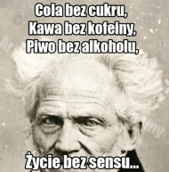 Kubek memy (Schopenhauer)