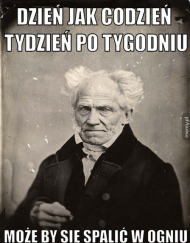 Kubem memy (Schopenhauer)2