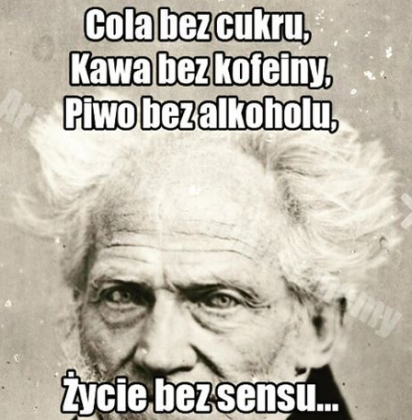 Kubek memy (Schopenhauer)