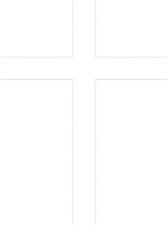 Bluza z kapturem "nieśmiertelna!''