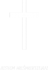 Bluza z kapturem "nieśmiertelna!''