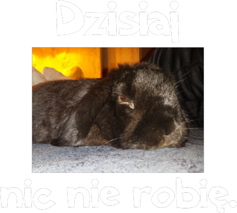 dzisiaj nic nie robię