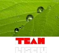 Bluza Team Lisciu