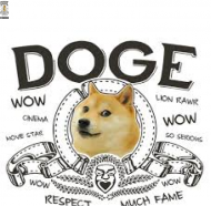 Doge in move