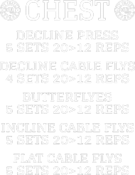 FIT FAJTER CHEST B2