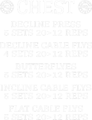 FIT FAJTER CHEST B2