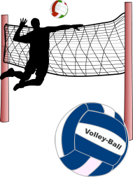 Koszulka siatkowka Volley-Ball