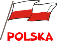 Patriotyczna bluza dziecieca z kapturem rozpinana Flaga Polska