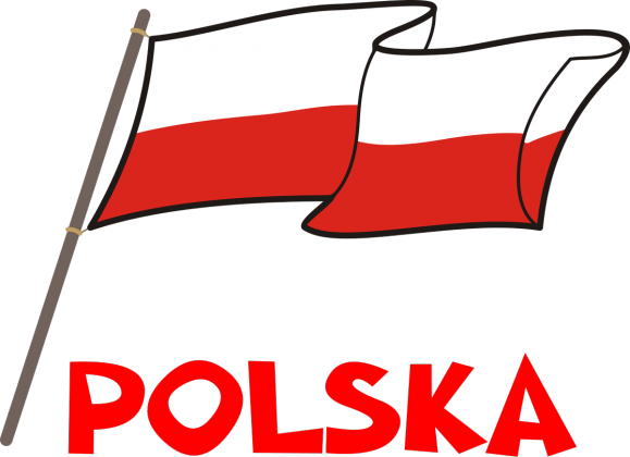 Dziecieca koszulka z krotkim rekawem patriotyczna Flaga Polska