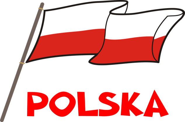Patriotyczna bluza bialo-czerwona flaga Polska