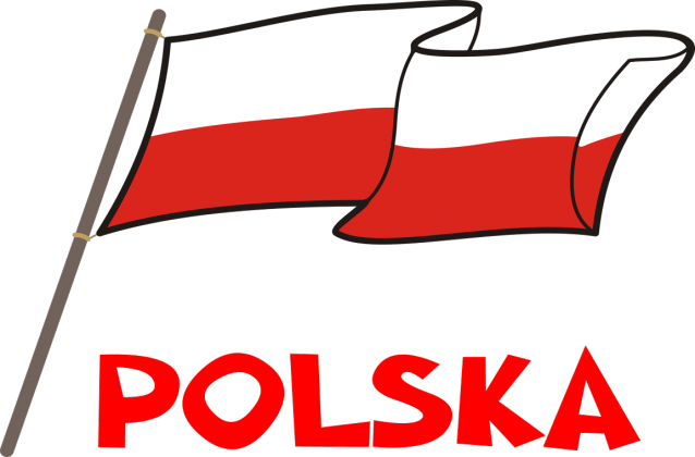 Koszulka T-Shirt slim patriotyczna bialo-czerwona flaga Polska