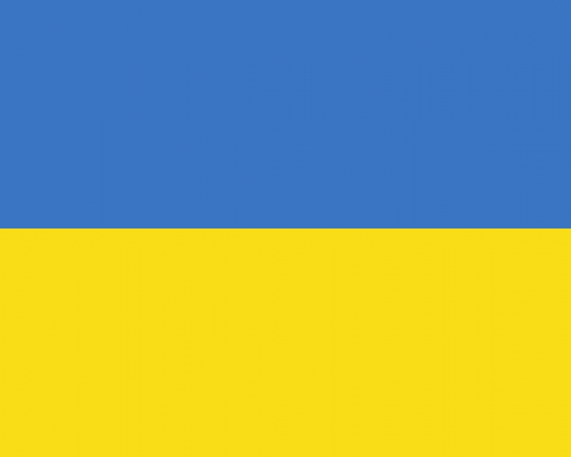 Ukraina poduszka jasiek flaga Ukrainy Golabek pokoju