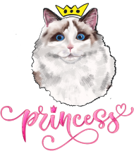 Princess kot