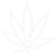 Bluza z kapturem Marihuana
