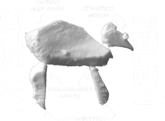 myszojeleń. czarny. męski.