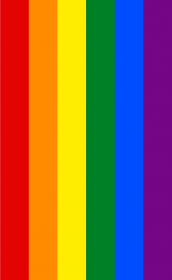 Tęcza LGBT koszulka męska (różne kolory)
