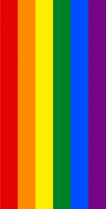 Tęcza LGBT iPhone 11 etui case