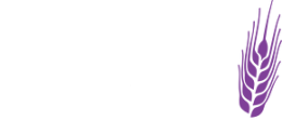 T-Shirt | PROSO. - J*BAĆ!
