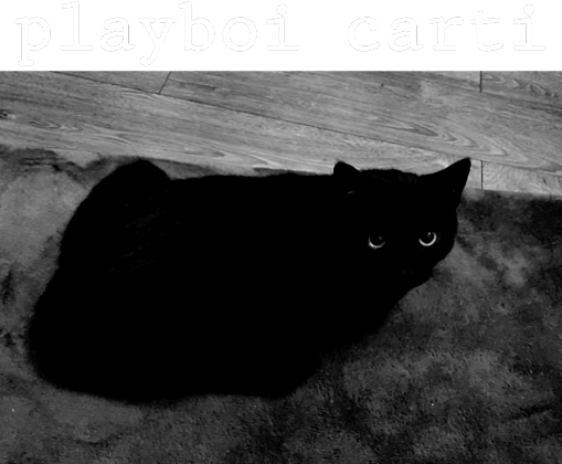 playboi carti cat tee bootleg