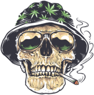 SkullWeed - Koszulka Męska