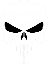 Punisher CZASZKA