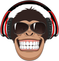 KOSZULKA MONKEY MISIC DAMSKA