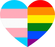 Heart trans lgbt rainbow pride tęcza flag