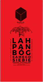 RAELIS - koszulka dziecięca - Lah Pan Bóg Samego Siebie