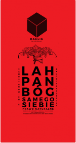 RAELIS - koszulka dziecięca - Lah Pan Bóg Samego Siebie