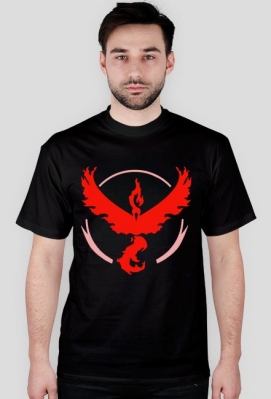 Pokemon Go Team Valor - Pokemony