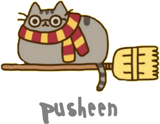 Chłopięcy T-shirt "Pusheen" Wzór 7 Harry Potter