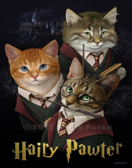 bluza potter cats