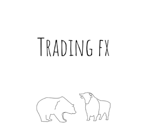 czapka bull and bear